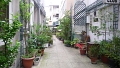 cour fleurie dans le 14 eme arrdt 1
